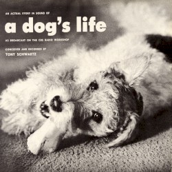 An Actual Story in Sound of a Dog’s Life
