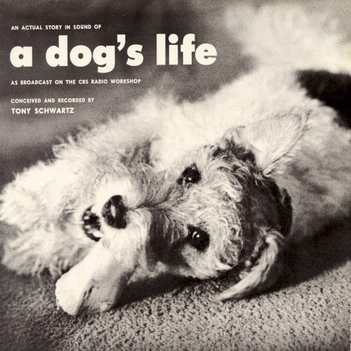 An Actual Story in Sound of a Dog’s Life