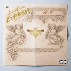 Lost In The Euphoria