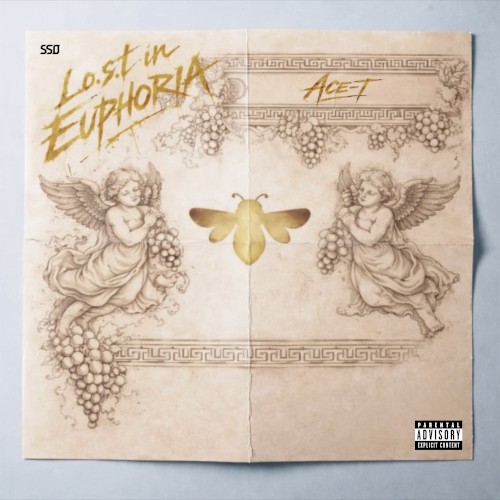 Lost In The Euphoria