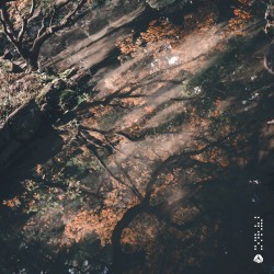 Afterimage