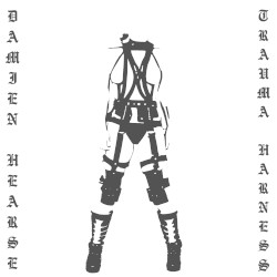 Trauma Harness