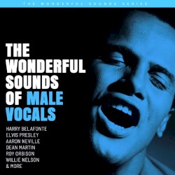 The Wonderful Sounds of Male Vocals