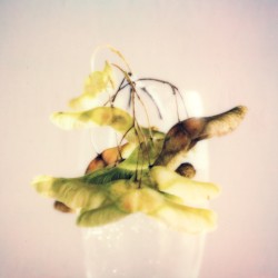 Lemon Tranquil
