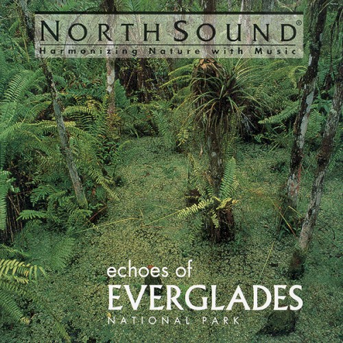 Echoes of Everglades National Park