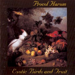 Exotic Birds and Fruit
