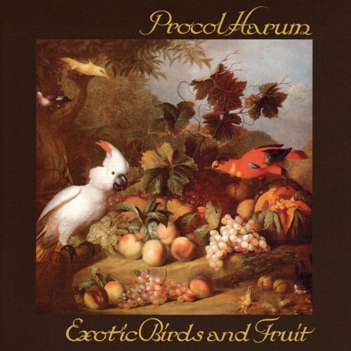 Exotic Birds and Fruit