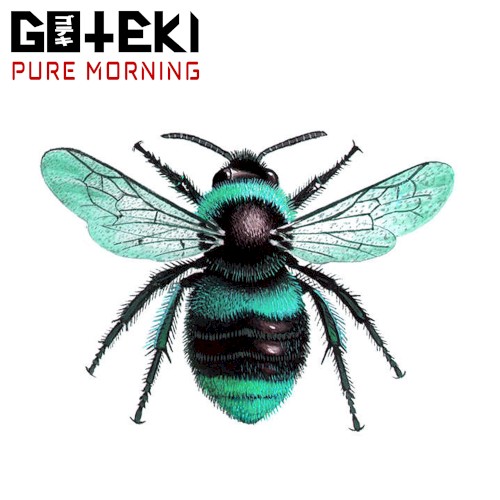 Pure Morning