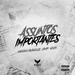 Assuntos Importantes