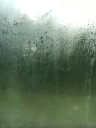 Through the Bedroom Window