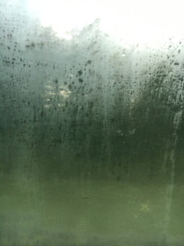 Through the Bedroom Window