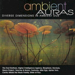 Ambient Auras: Diverse Dimensions in Ambient Dub