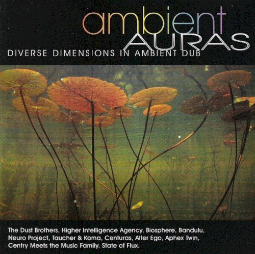 Ambient Auras: Diverse Dimensions in Ambient Dub