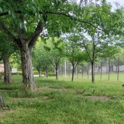 Held Field 0012