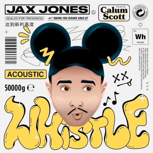 Whistle (acoustic)