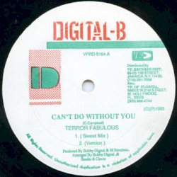 Can't Do Without You / Rude Boy