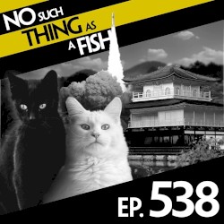 No Such Thing As A Fish #538, "No Such Thing As A Sausage Cat"