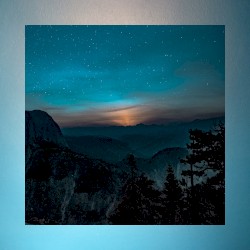 Midnight Sight
