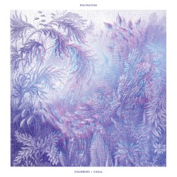 Wildeburg / Coral