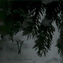 Nachtschwarze Momente