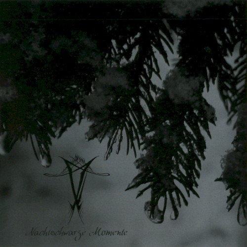 Nachtschwarze Momente