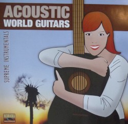 Acoustic World Guitars