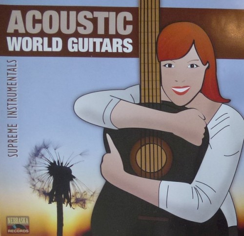 Acoustic World Guitars