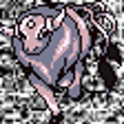 #128 ~ Tauros