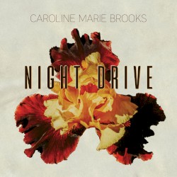Night Drive