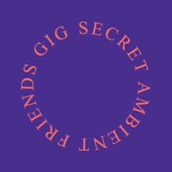 Secret Ambient Friends Gig