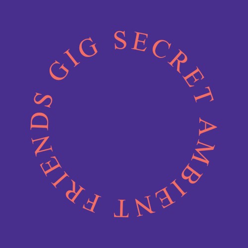 Secret Ambient Friends Gig