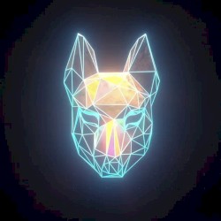 See the Light