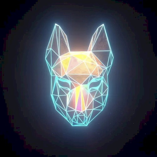 See the Light