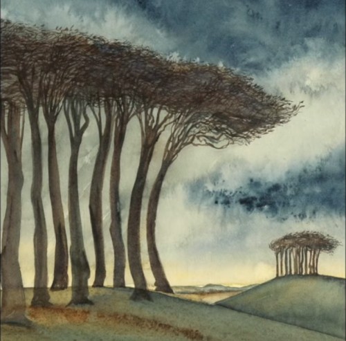 Beech