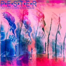 UNTITLED COMPILATION ALBUM