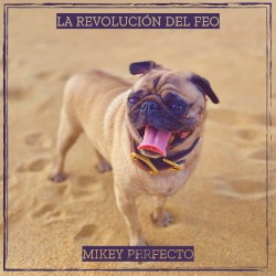La revolución del feo
