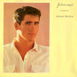 Fallen Angel