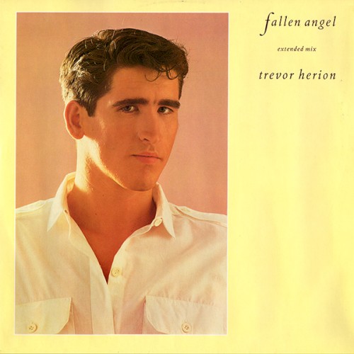 Fallen Angel