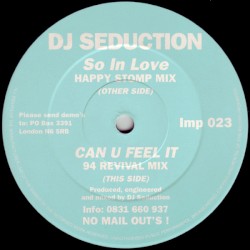 So In Love / Can U Feel It (Remix)
