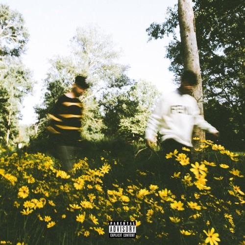 Drugs & Flowers