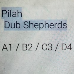 A1/B2/C3/D4