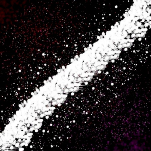 the white star trail