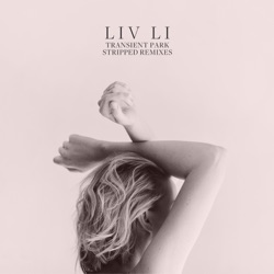 Transient Park Stripped Remixes