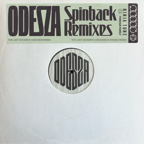 The Last Goodbye (Odd Mob remix)