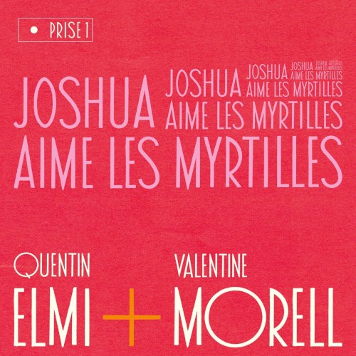 Joshua aime les myrtilles