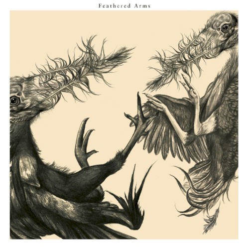 Feathered Arms