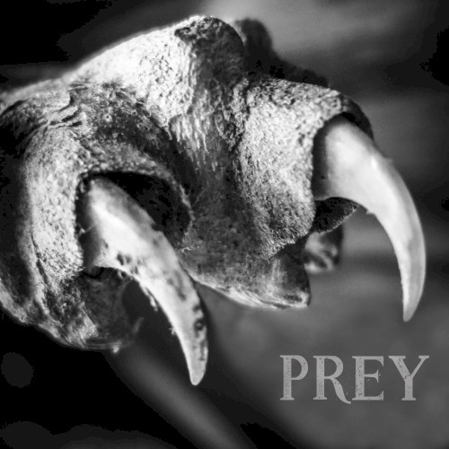 Prey