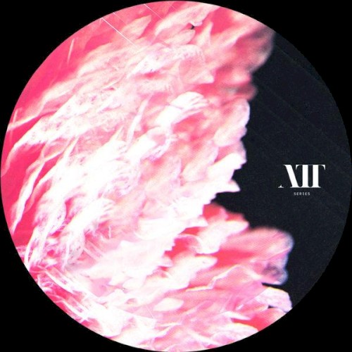 The Anatomy Of Thought Ep