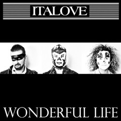 Wonderful Life