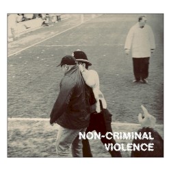 Non-Criminal Violence